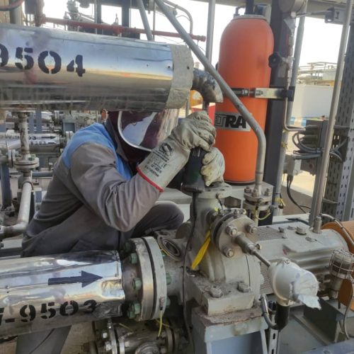 WhatsApp Image 2025-09-02 at 12.50.46 (1)